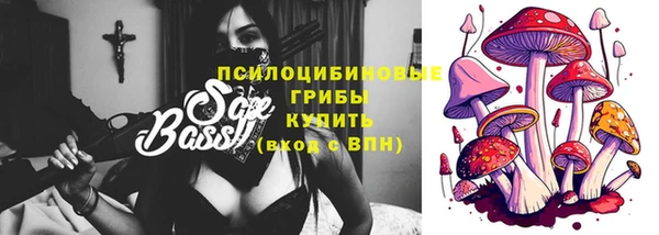 мяу мяу мука Аркадак